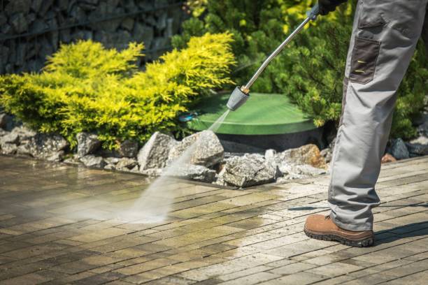 Best Oil Spill Cleanup  in Grass Lake, MI
