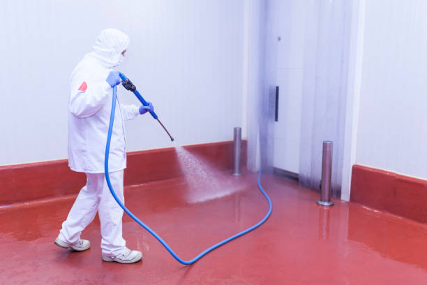 Best Solar Panel Cleaning  in Grass Lake, MI