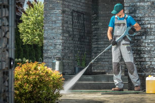 Best Pre-Holiday Cleaning  in Grass Lake, MI