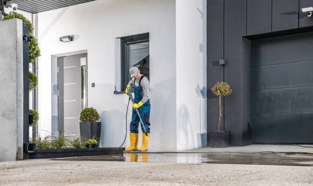 Best Building Exterior Washing  in Grass Lake, MI